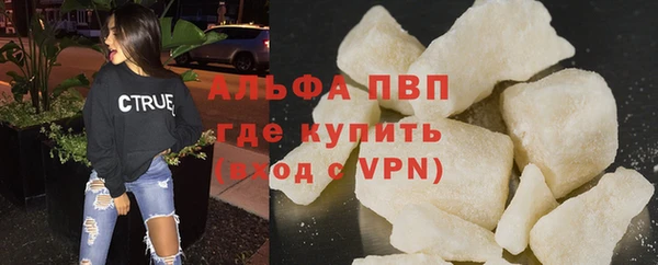 прущие грибы Струнино