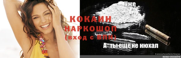 СК Тайга