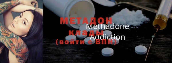 прущие грибы Струнино