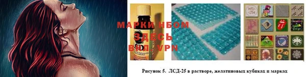 прущие грибы Струнино