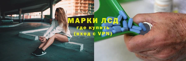 СК Тайга