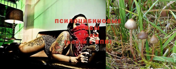 ECSTASY Верхний Тагил