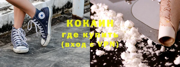 гашик Тавда