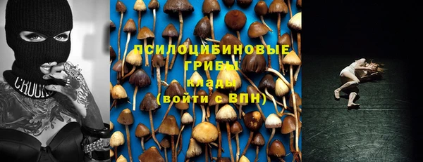 меф Сясьстрой