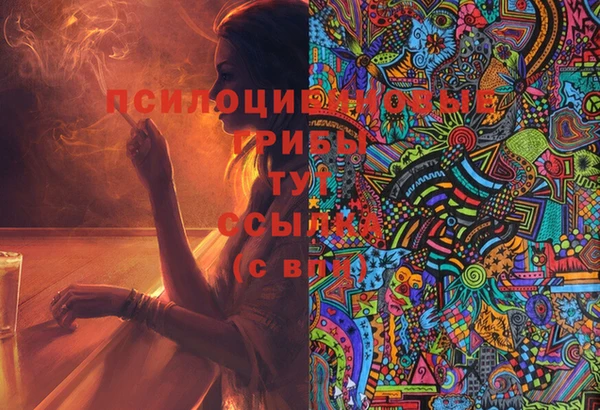 СК Ступино