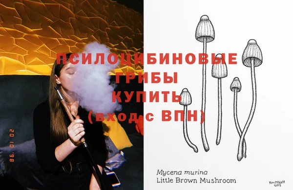 меф Сясьстрой