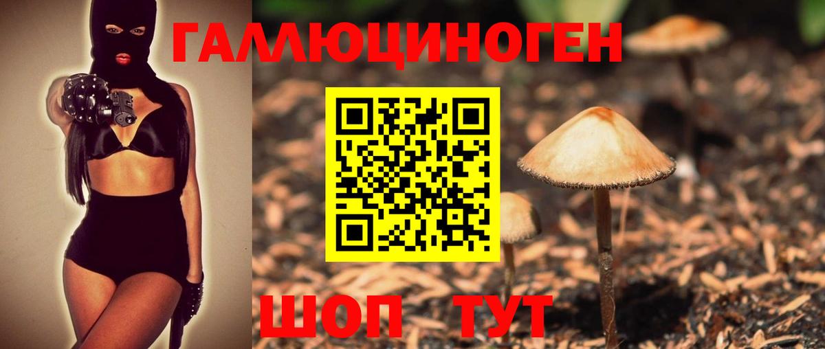 Псилоцибиновые грибы GOLDEN TEACHER  Галлюциногенные грибы ЛСД  Вход с VPN  Медногорск 